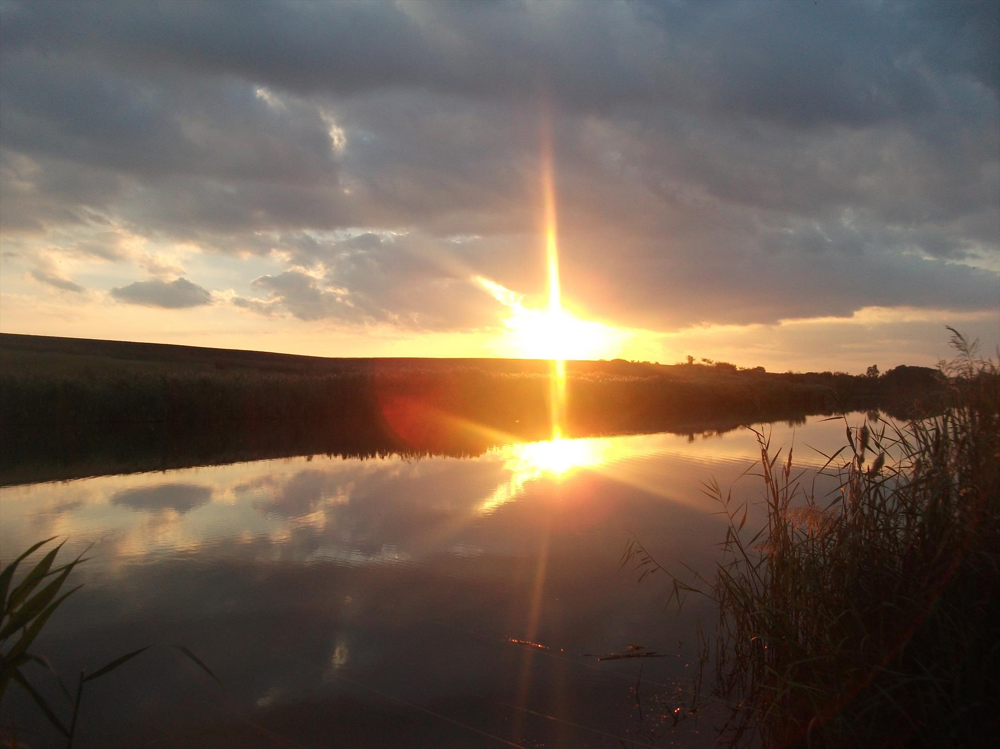 diverse - dscf1624.jpg